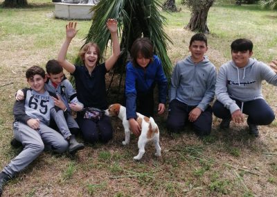 Estate a cavalo - circolo ippico le rondini