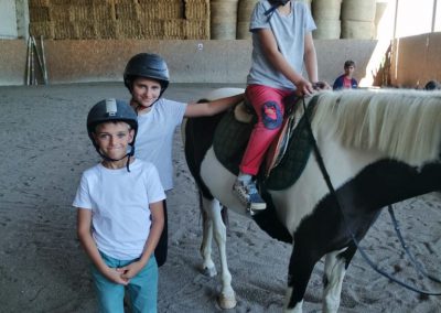 Estate a cavalo - circolo ippico le rondini